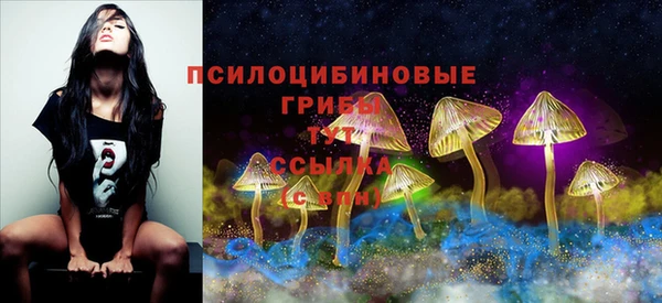 COCAINE Арсеньев