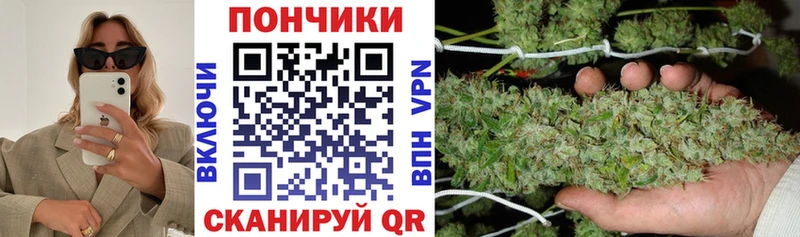 Бошки марихуана марихуана кракен как зайти Тобольск